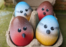 Bluetit & Robin Chocolate Dippy Eggs