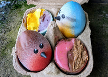 Bluetit & Robin Chocolate Dippy Eggs